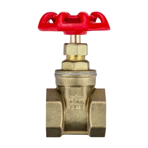 VALVULA COMPUERTA BRONCE 1 1/2" - EURO VALVE